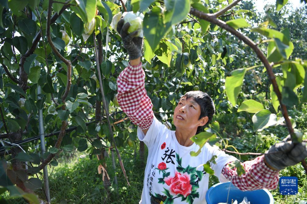大满贯电子游戏网站平台